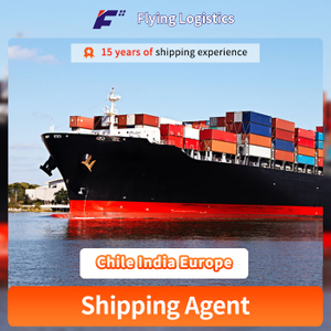 Door to Door Ship Container Cargo Sea Shipping Freight Forwarder Rates Fast Shipping From China to Chile India Europe Logistics Service LCL FCL