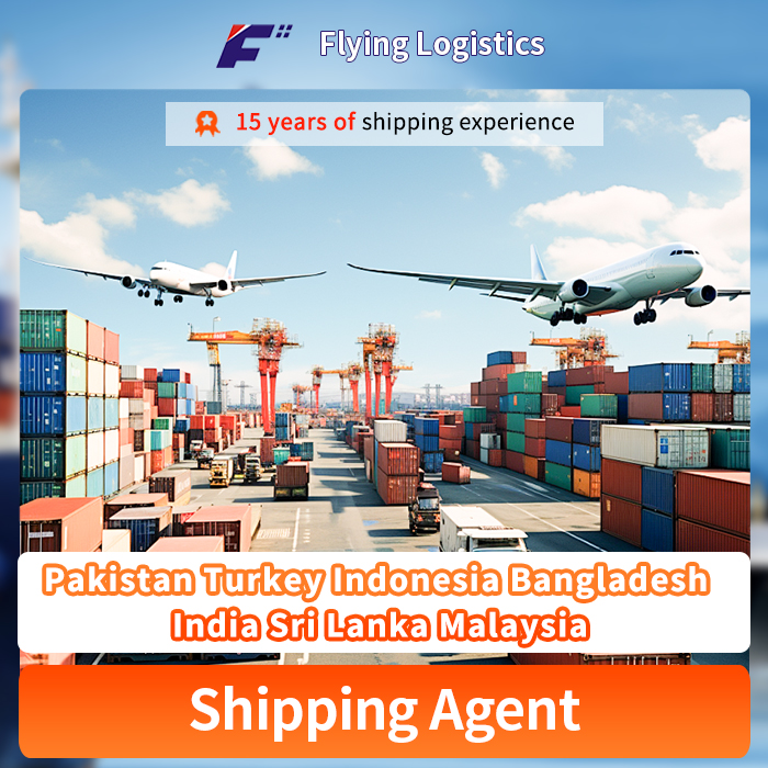 Professional Air Cargo Freight Logistics Service Shipping From China to Pakistan Turkey Indonesia Bangladesh India Sri Lanka Malaysia