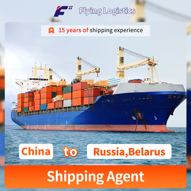 Sea Freight Shipping Agent, From ShenZhen Guangzhou, Yiwu, China To Russia,Belarus Transportation Company Logistics Service