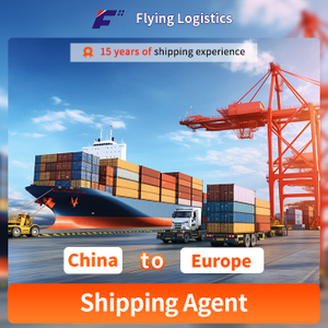 China Sea Shipping Agent Door to Door DDP Forwarder Sea Freight From China to Europe