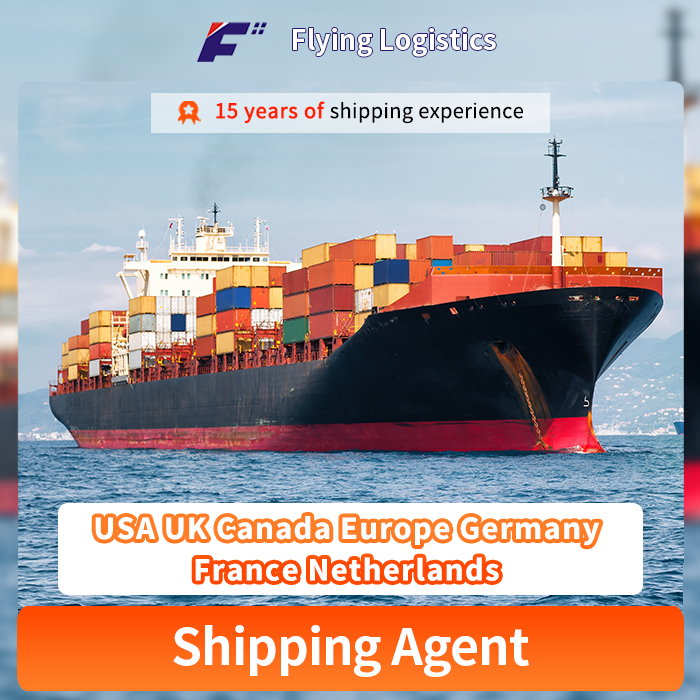 Professional Air Ocean Sea Freight International Shipping Freight Forwarder Agent From China to USA UK Canada Europe Germany France Netherlands Logistics Service