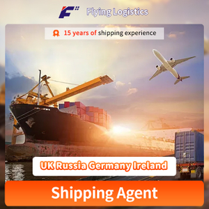 Express UPS Shipping Agent Door To Door Ocean Shipping Tracking Shipping From China To UK Russia Germany Ireland by Sea