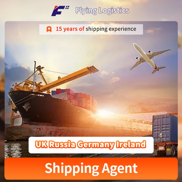 Express UPS Shipping Agent Door To Door Ocean Shipping Tracking Shipping From China To UK Russia Germany Ireland by Sea