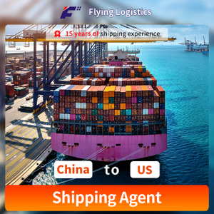 Professional Freight Forwarding to the US: Comprehensive Logistics