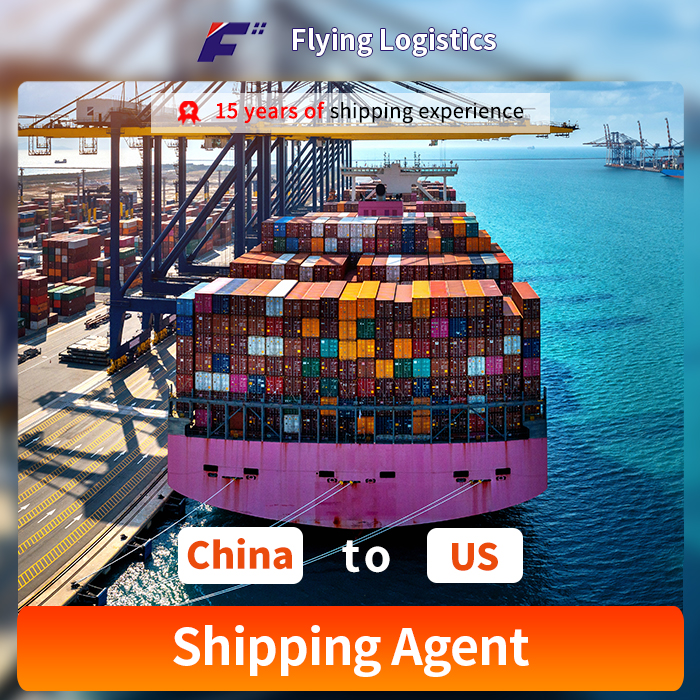 Professional Freight Forwarding to the US: Comprehensive Logistics