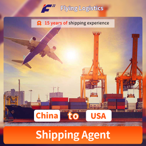 Fba Amazon DDP Sea Shipping Agent From China to USA