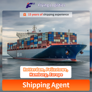 Fast DDP Sea & Air Freight Shipping From China to Rotterdam, Felixstowe, Hamburg, Europe