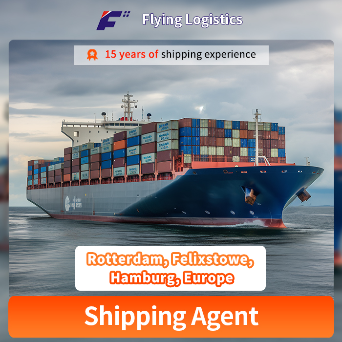 Fast DDP Sea & Air Freight Shipping From China to Rotterdam, Felixstowe, Hamburg, Europe