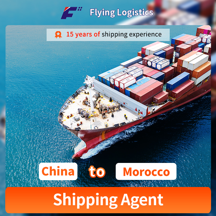 Fast Shipping Sea Freight Dropshipping Agent DDP To Morocco Casablanca Logistics Service LCL FCL