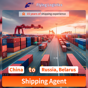  FCL LCL Air Freight Sea Shipping Agent Freight Forwarder From China to Russia, Belarus, Sourcing Agent / Purchasing Agent 