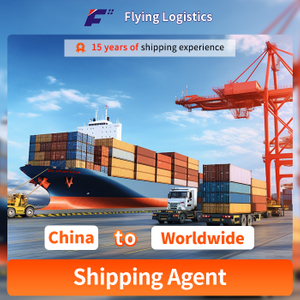  FCL/LCL Cargo Ship Service Shipping Agent Sea Freight From China to Worldwide Logistics Service