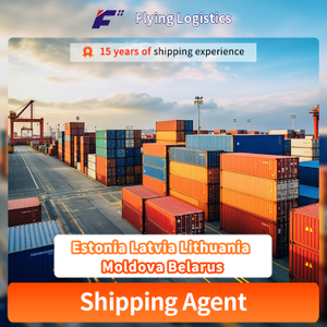 Shipping Agent Sea Freight Forwarder Cargo Logistic Service From China to Estonia Latvia Lithuania Moldova Belarus FBA shipping