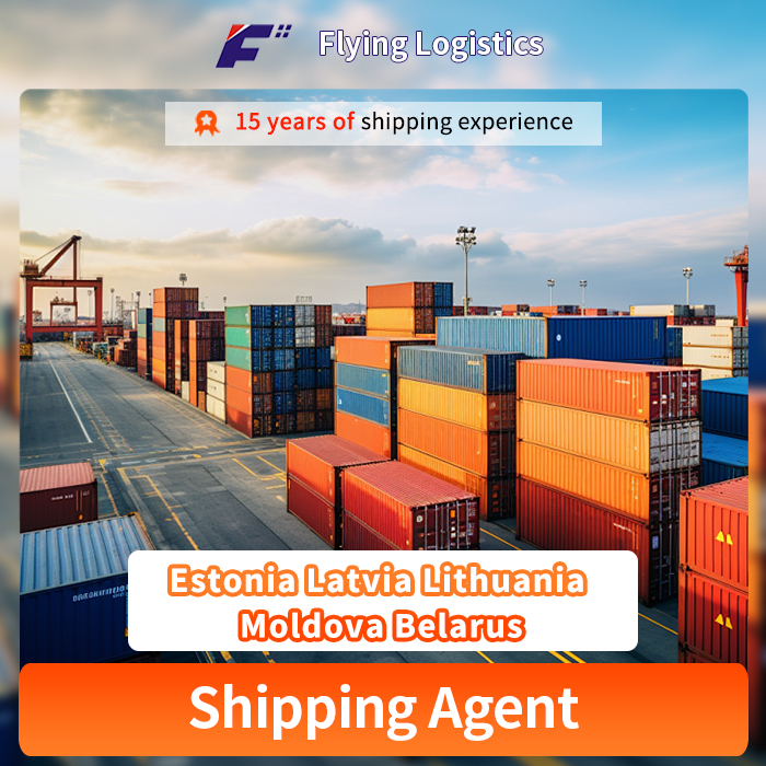 Shipping Agent Sea Freight Forwarder Cargo Logistic Service From China to Estonia Latvia Lithuania Moldova Belarus FBA shipping