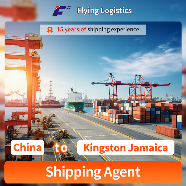 Sea Shipping From China to Kingston Jamaica Sea Freight Shipping Agent Logistics Service