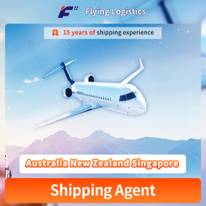 Freight forwarder Economical Air Freight Forwarding From China to Australia New Zealand Singapore Free Pick-up