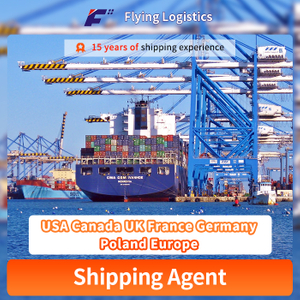 China Professional Shipping Agent to USA Canada UK France Germany Poland Europe