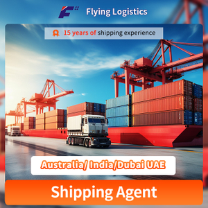 DDP/DDU Shipping Agent Amazon Fba Freight Forwarder Air Shipping From China to Australia/India/Dubai UAE Logistics Service