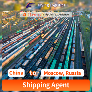 Railway/Train Freight DDP Shipping From China to Moscow, Russia