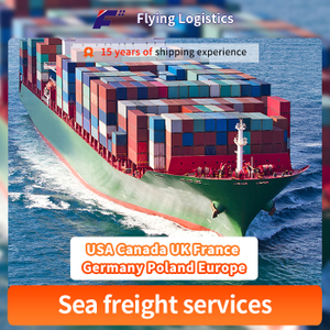 China Professional Sea Freight Shipping Agent to USA Canada UK France Germany Poland Europe FBA Shipping