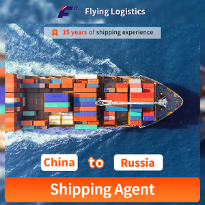 Sea Freight Shipping Agent, From Guangzhou, Yiwu, ShenZhen China to Russia, Logistic Service Freight Forwarder LCL FCL