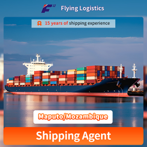 Sea Freight FCL/LCL Shipping From China To Maputo/Mozambique Logistic Service Shipping Agent