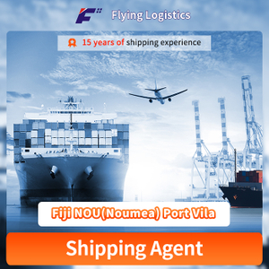 FCL LCL Sea Shipping Freight Forwarder Logistics Service From China to Fiji NOU(Noumea) Port Vila Shipping Company