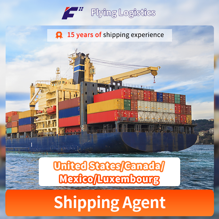 DHL Express Shipment by Air/Sea Freight Shipping Agent Logistic Service From China to United States/Canada/Mexico/Luxembourg FBA shipping