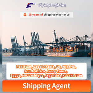 Professional Air Shipping From ShenZhen China to Pakistan, Saudi Arabia, Us, Nigeria, South Africa, Ivory Coast, Egypt, Mozambique,Argentina,Kazakhstan