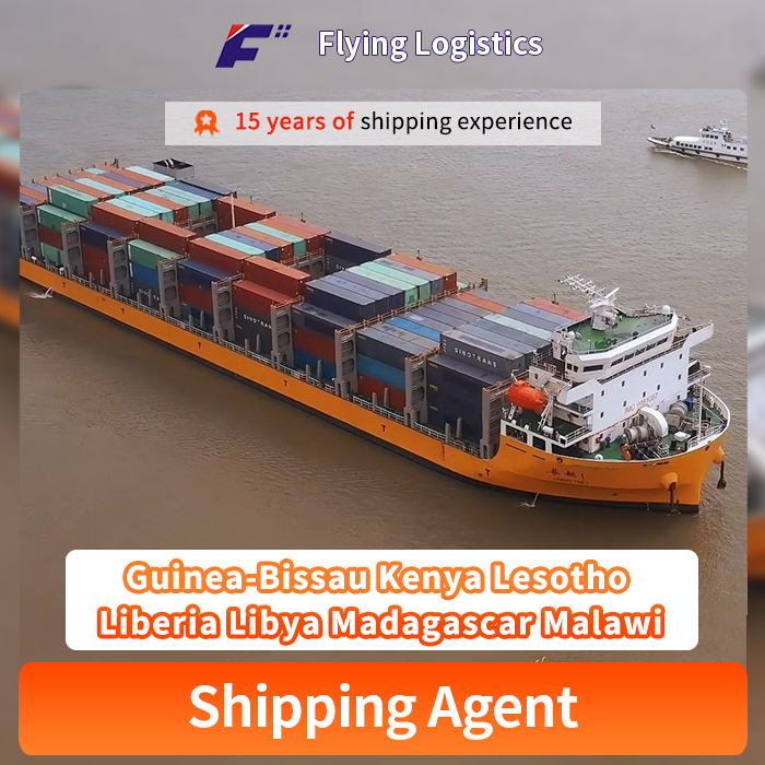 International Shipping Air Freight Sea Transportation Logistics Agent Shipping Company to Guinea-Bissau Kenya Lesotho Liberia Libya Madagascar Malawi