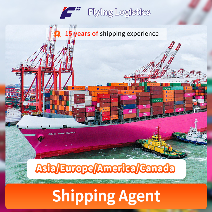 Sea Freight Dangerous Goods by Shipping From China to Asia/Europe/America/Canada