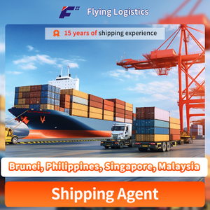 Freight Forwarder Sea Express DHL UPS FedEX Logistics Service Consolidate DDP Shipping Agent From China to Brunei, Philippines, Singapore, Malaysia Purchasing Agent