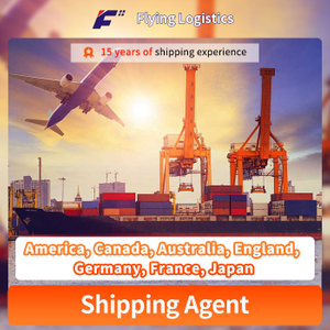 Amazon Fba Door to Door Sea Freight Shipping Service From China to America, Canada, Australia, England, Germany, France, Japan Freight Forwarder Logistics Service