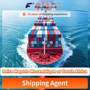 China Sea Shipping Cost to Beira Maputo Mozambique or South Africa Shipping