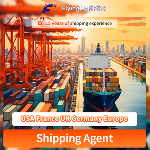 Support Sensitive and Dangerous Cargo Freight Shipping Agent Sea Freight China to USA France UK Germany Europe