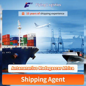 Professional Freight Shipping Agent by Sea DDP Service From Shenzhen Guangzhou China to Antananarivo Madagascar Africa Logistics Service