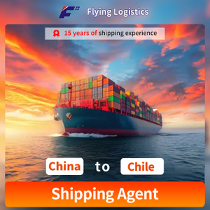 Efficient Freight Forwarding to Chile, Ensuring Smooth Delivery