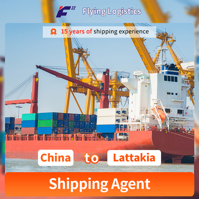 Professional Sea Freight Forwarder Shipping Agent From China To Lattakia Logistics Service Shipping Company