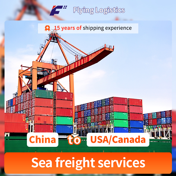 Professional international logistics sea freight shipping agent company from China to USA/Canada