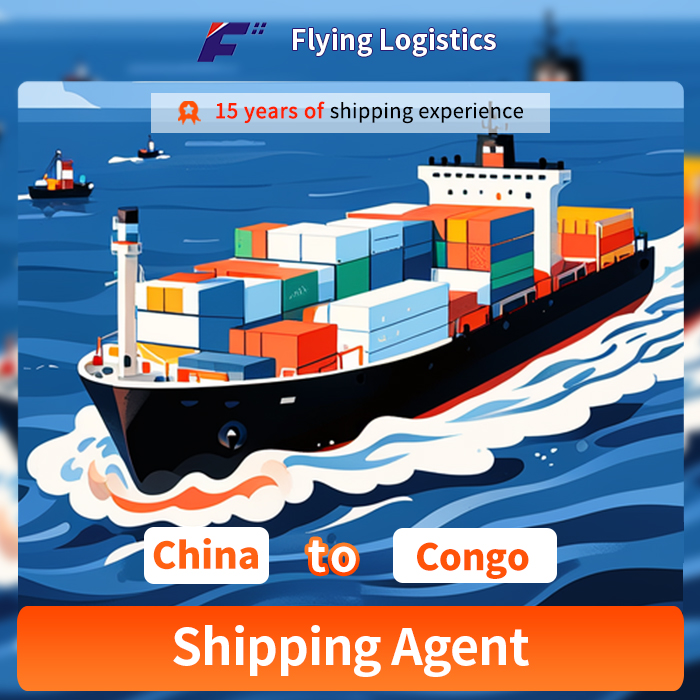 Professional DDP & Door to Door Air & Sea Shipping Freight Forwarder Logistics Service From China to Congo