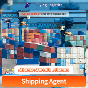 FCL LCL Sea Shipping Freight Forwarder Logistics Service From China to Albania Armenia Lebanon Shipping Company