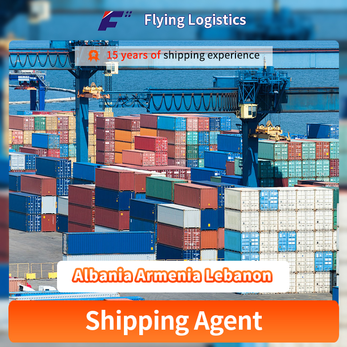 FCL LCL Sea Shipping Freight Forwarder Logistics Service From China to Albania Armenia Lebanon Shipping Company