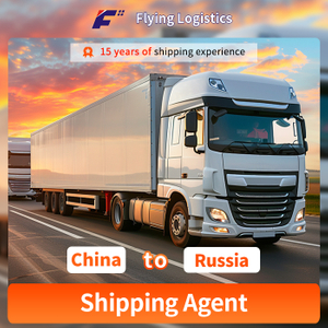 Popular Truck Shipping Door to Door DDP Shipping From China to Russia