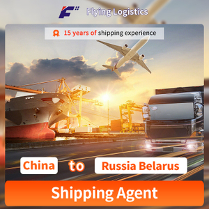 Sea Land Air Freight Shipping Agent, From ShenZhen, China to Russia Belarus Logistics Service Purchasing Agent