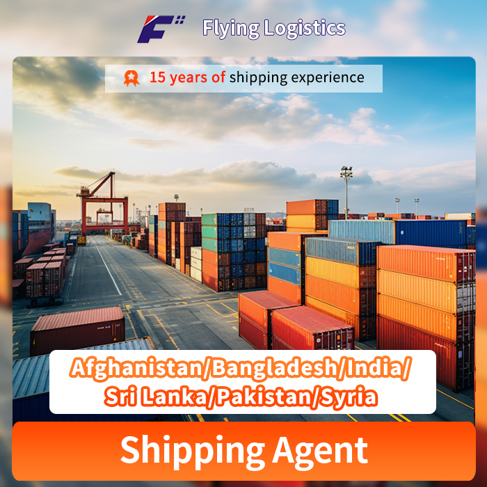 20/40 FCL Fast Sea Shipping Freight Forwarder DDP Logistics Services From Shenzhen/Qingdao/Xiamen, China to Afghanistan/Bangladesh/India/Sri Lanka/Pakistan/Syria