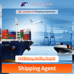 Fast International Logistics Service Sea/Air/Railway/Truck Freight Forwarder Shipping From China to Pakistan, India, Nepal, Karachi/Lahore/Peshawar/New Delhi/Bombay/Calcu DDU/DDP