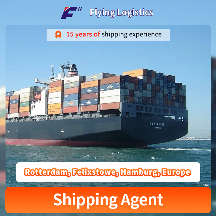 Fast DDP Sea & Air Freight Shipping From China to Rotterdam, Felixstowe, Hamburg, Europe Logistics Service