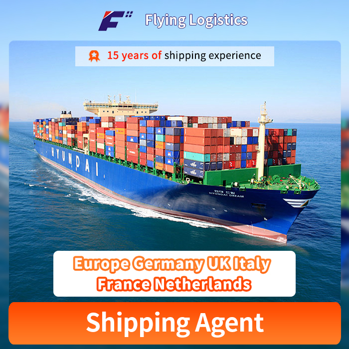 Professional Fba Sea Shipping Freight Forwarder From China to Europe Germany UK Italy France Netherlands