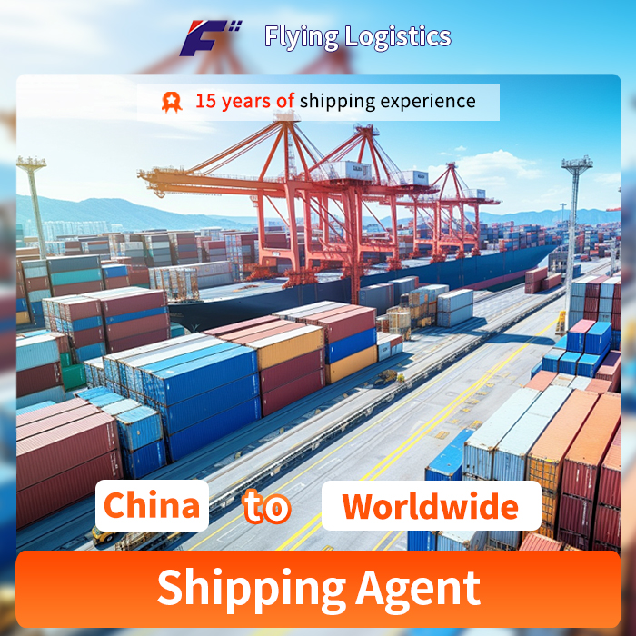 Shipping Company Ocean Shipping Amazon Fba DDP Food Shipping Agent Sea Freight /Railway Freight From China to USA/Europe/The Worldwide