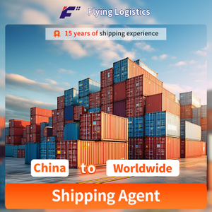 DDU DDP Excellent TNT UPS DHL FedEX Express Shipping Agent From China to USA/Amazon/Worldwide/Freight Forwarder