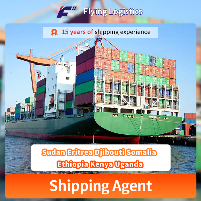 Sea Shipping Express Transport Cargo Agencies From China To Sudan Eritrea Djibouti Somalia Ethiopia Kenya Uganda